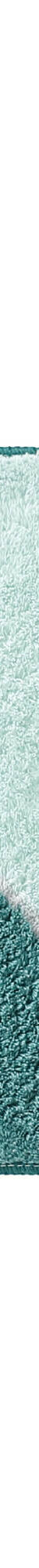 Tapis de bain motif végétal (lagon) Tapis de bain motif végétal (lagon)